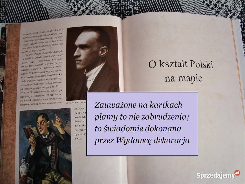 Narodziny niepodległej Polski Jan Łoziński Książki i Podręczniki Tychy