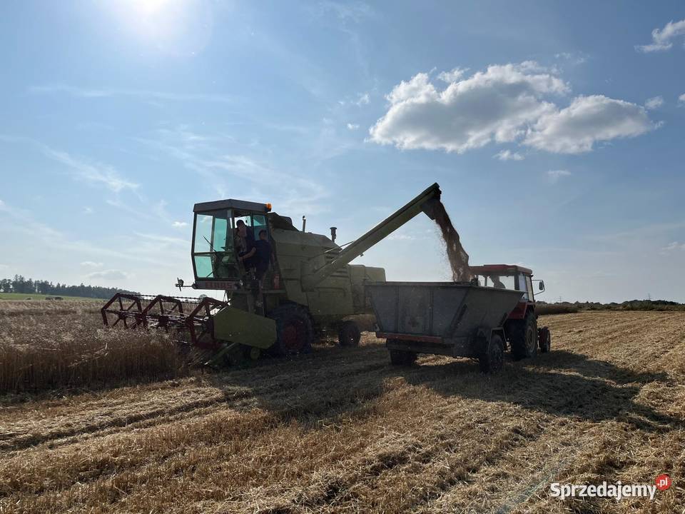 Claas MRCATOR 75 kombajn zbożowy dolnośląskie Lwówek Śląski sprzedam