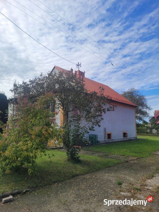 Dom na sprzedaż niższa 600 blacha Wola Dębińska sprzedam