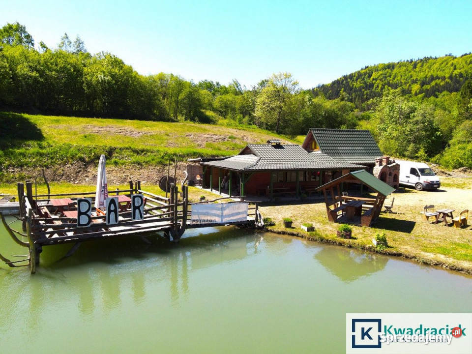 Działka 11659m2 Krzywe