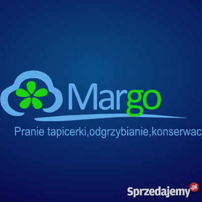 Profesjonalne pranie tapicerki urządzeniami Mycie i sprzątanie pojazdów podkarpackie Lubaczów
