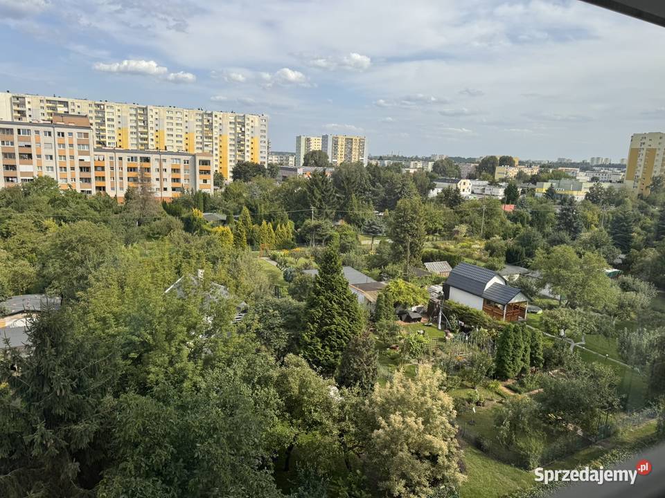 Bydgoszcz Gajowa z klimatyzacją i dwoma