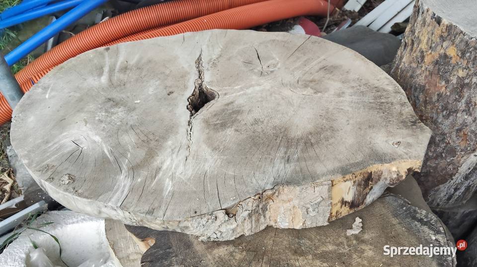 Krążki drewniane plastry Różne gatunki drewna Kwidzyn sprzedam