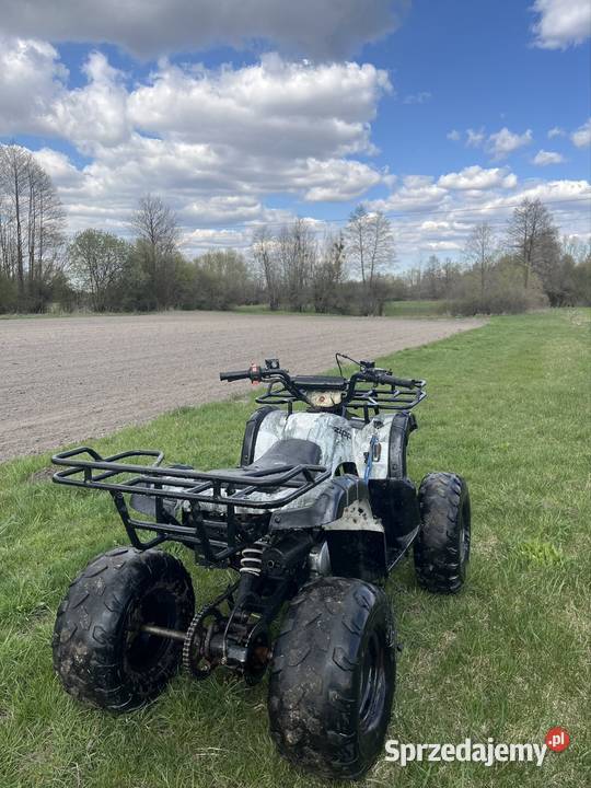 QUAD ZIPP 125 Pozostałe lubelskie Dorohusk-Osada