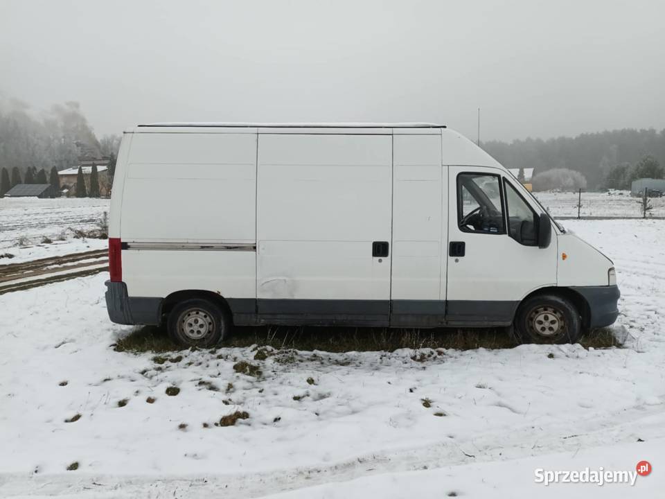Sprzedam bus Fiat ducato biały Suszec