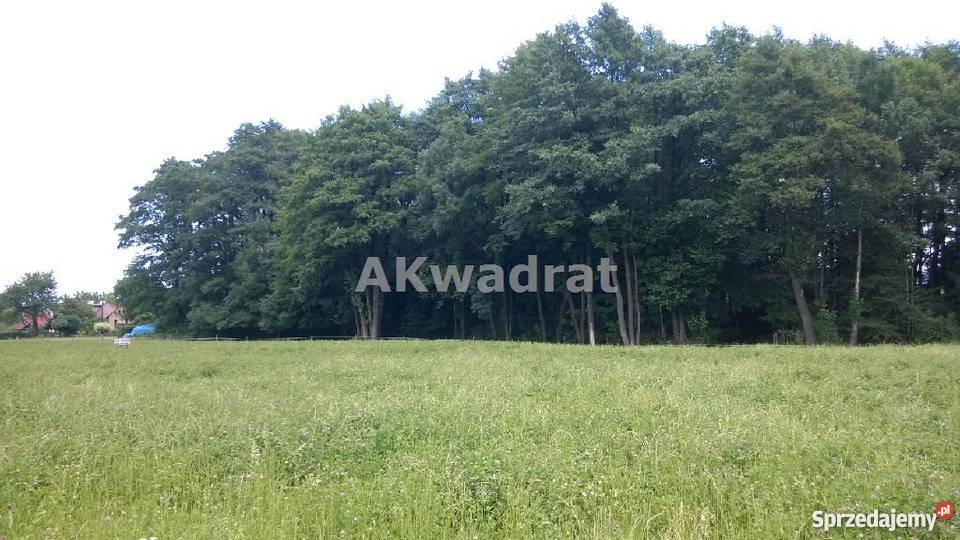 grunt 1004m2 Bładnice Górne 1004m2 Bładnice Górne