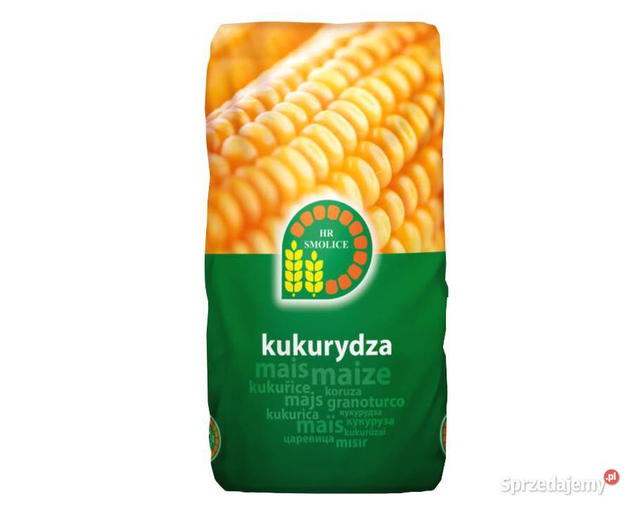 Nasiona kukurydza SM Pomerania FAO 200 zaprawa Rabiąż