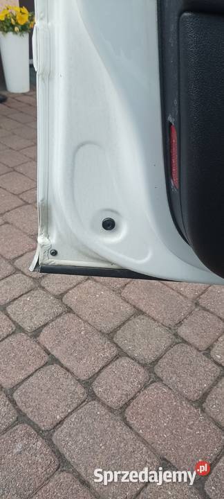 Drzwi audi a3 8p ly9c Drzwi Wijewo sprzedam