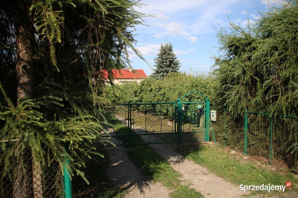 Dom z zabudowaniami na działce 35 arów 165m2 Wąpielsk