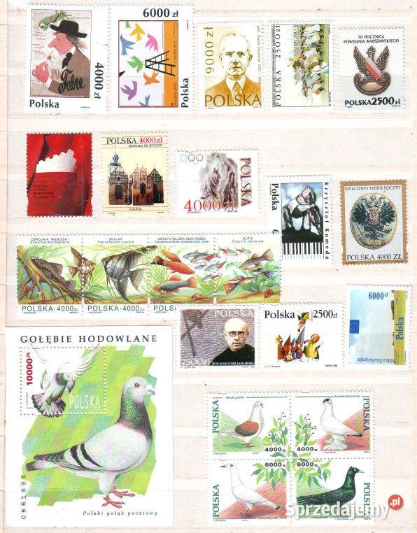 Zn z Rocznika 1994 Gliwice