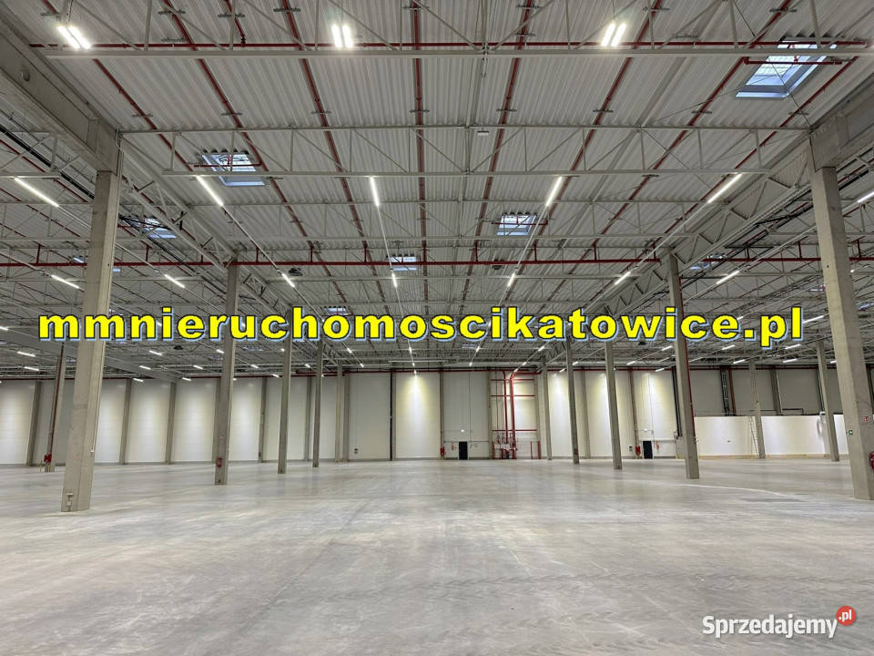 Magazyny do wynajęcia śląskie Katowice DTŚ rampy winda