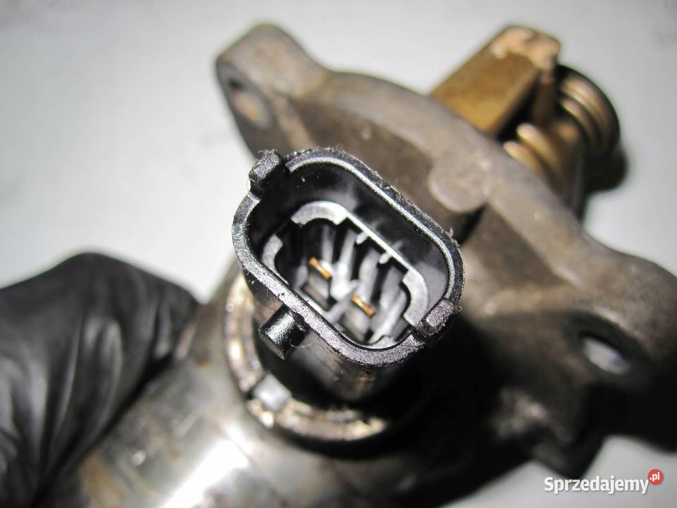 OPEL ZAFIRA 16 16V A16XER 115 55577072 2503185 świętokrzyskie Kielce