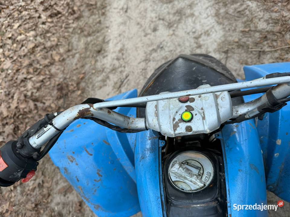 Quad Bashan Wielichowo