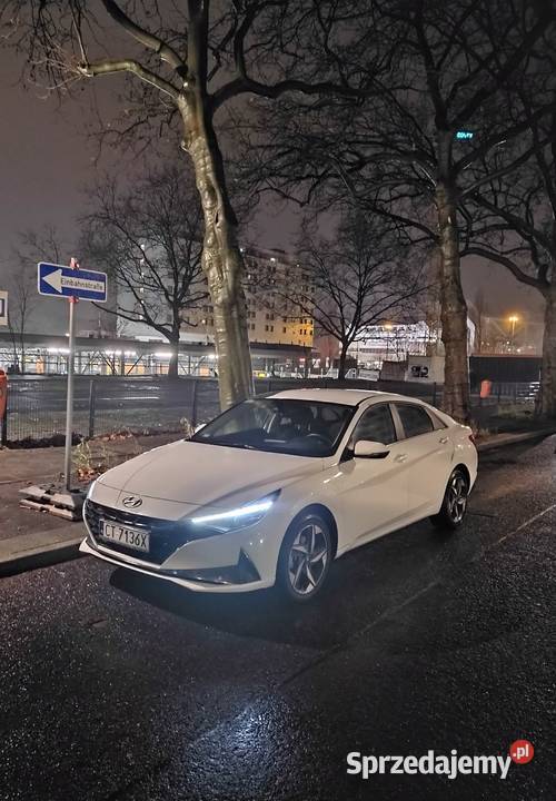 Prywatne przewozy osób Krajowe międzymiastowe Wałcz