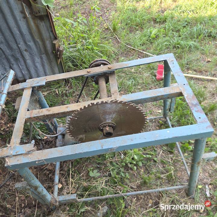 Krajzega stołowa do cięcia drewna wielkopolskie Ostrzeszów sprzedam