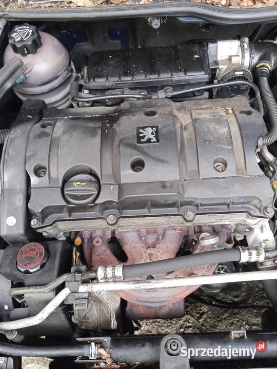 Peugot 206 na części kod lakieru EGE Ropczyce