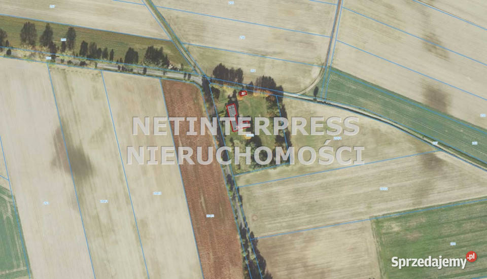 Lokal na sprzedaż 582 metry Domaszowice