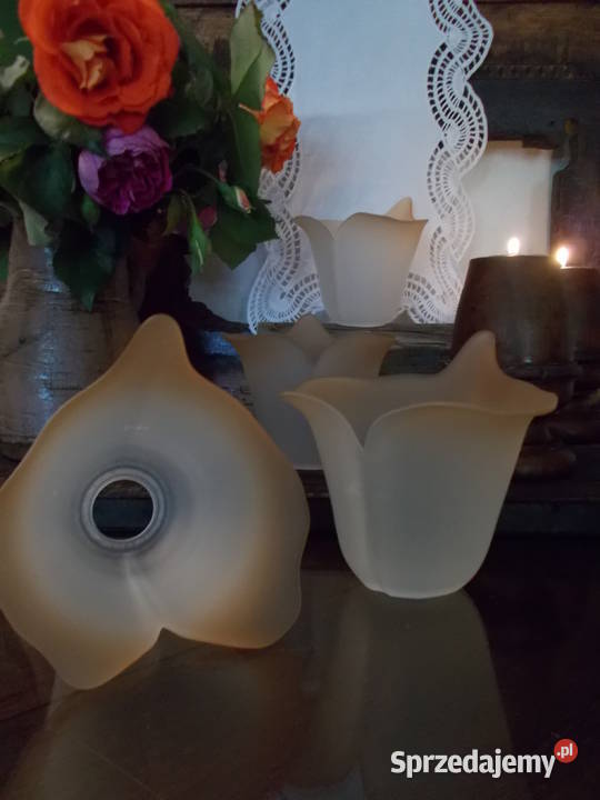 Piękny Klosz Kwiat Kalii Grube Szkło Lata 90 Szczecin