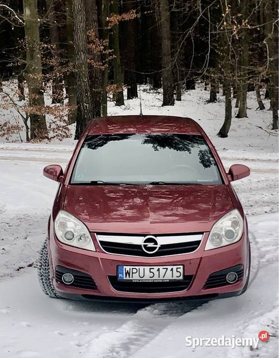 Opel Signum 18 122 2006 Rok produkcji 2006 Pułtusk