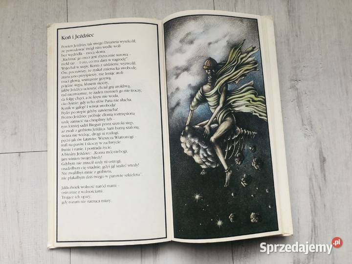 Książka Bajki Iwan Kryłow Bajki i wierszyki Łódź