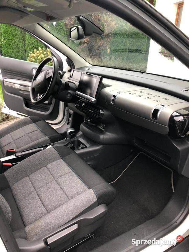 Citroen C4 cactus C4 Cactus Psie Głowy