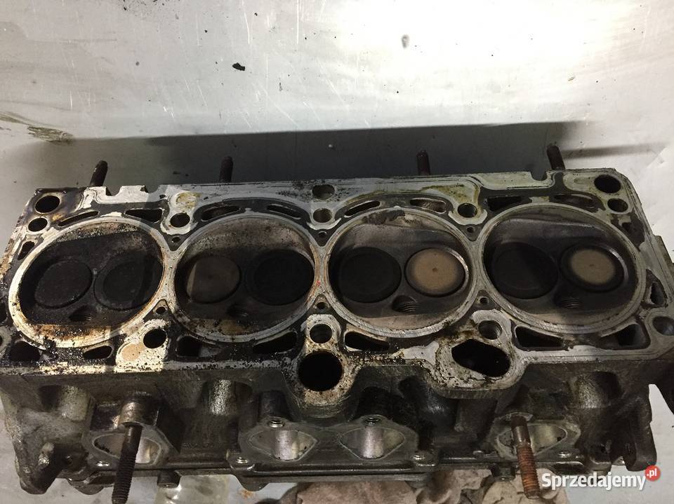 Głowica vw audi skoda seat 16 CCS 06B1033731 Jelcz-Laskowice