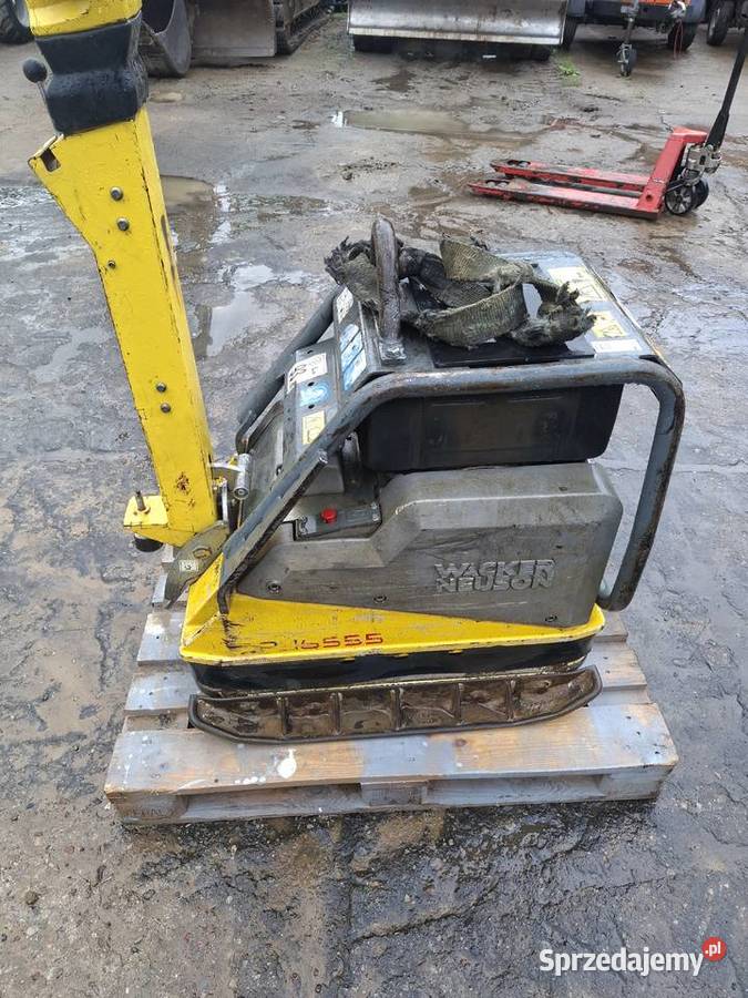 Zagęszczarka rewersyjna Wacker Neuson DPU 6555 Puzdrowo