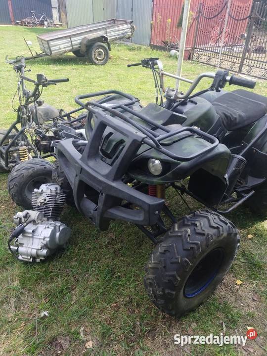 Quad 110 i 200 Bashan Dzikowiec