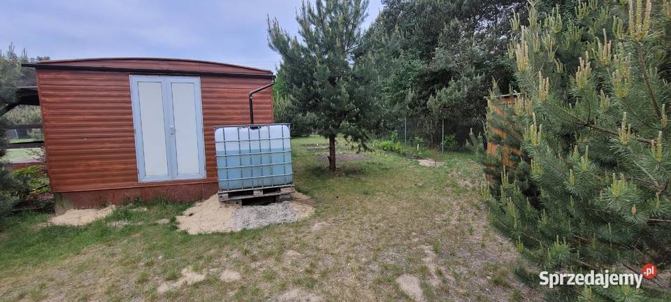 Działka rekreacyjna z warunkami rekreacyjna łódzkie Złotniki-Kolonia