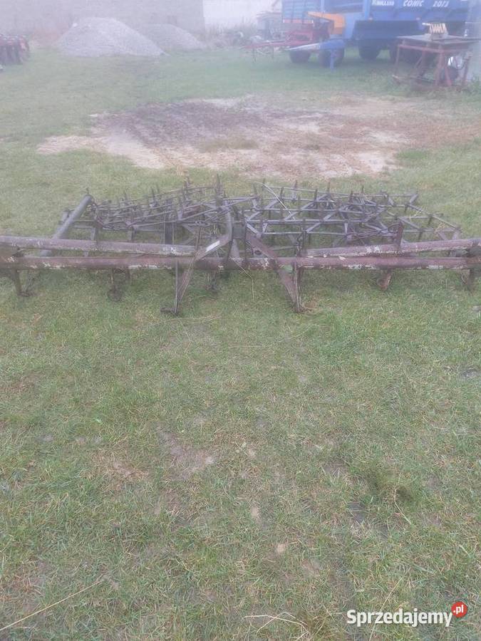 Brony polowe 5 piątki Łosice sprzedam