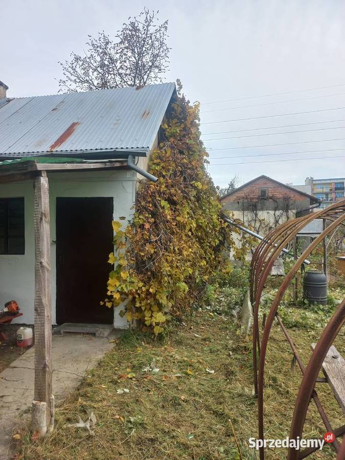 ogródek działkowy