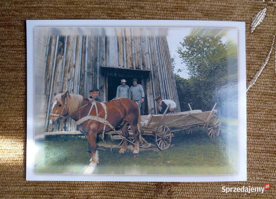 MUZEUM WSI LUBELSKIEJ PRZYWÓZ ZBOŻA DO MŁYNA Piszczac