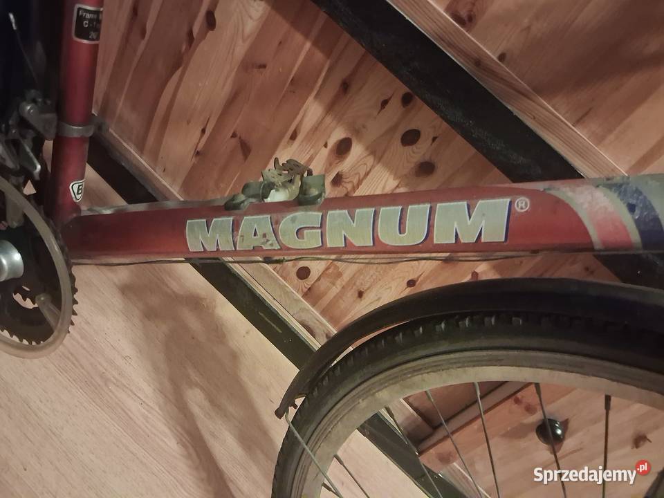 Rower Kalkhoff Blackwood Magnum Paseo Szczecin