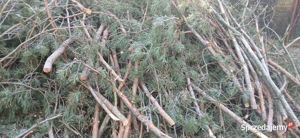 Gałęzie na opał Radzymin