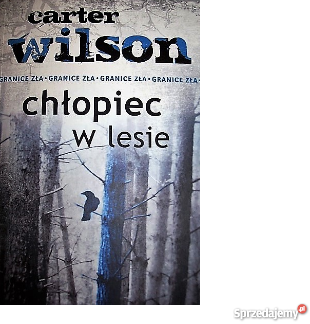 CHŁOPIEC W LESIE Carter Wilson fa