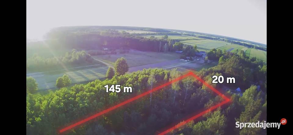 Działka bud 2900 M2 Łukawska Wola WZ ZADRZEWIONA 2900m2 sprzedam