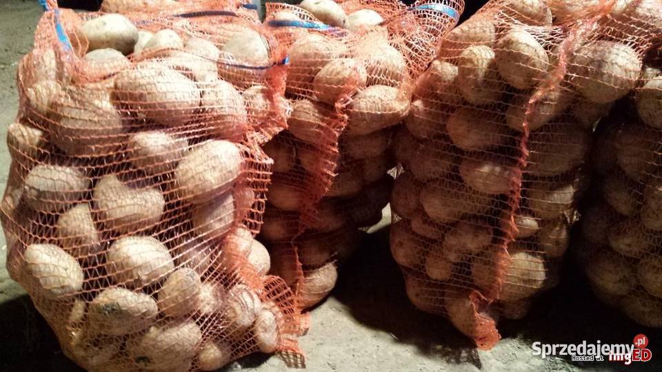 Ziemniaki Jadalne TRANSPORT Bolestraszyce sprzedam