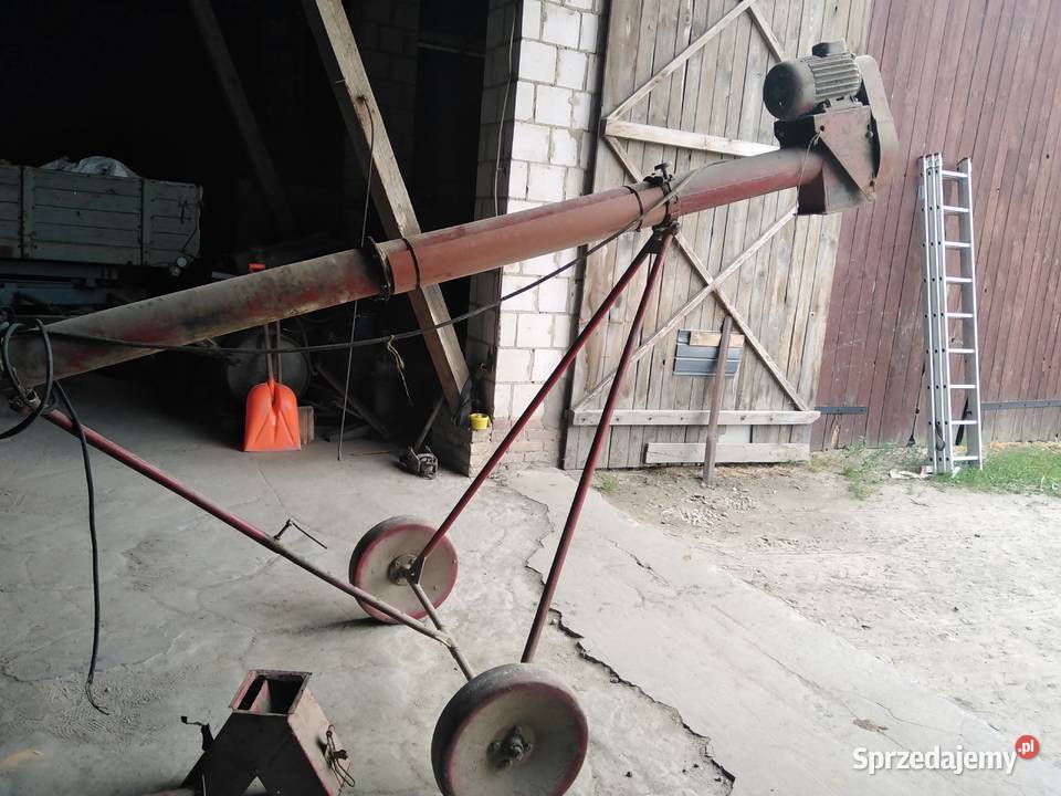 Żmijka podajnik ślimakowy do zboża 6 m lubelskie Motycz