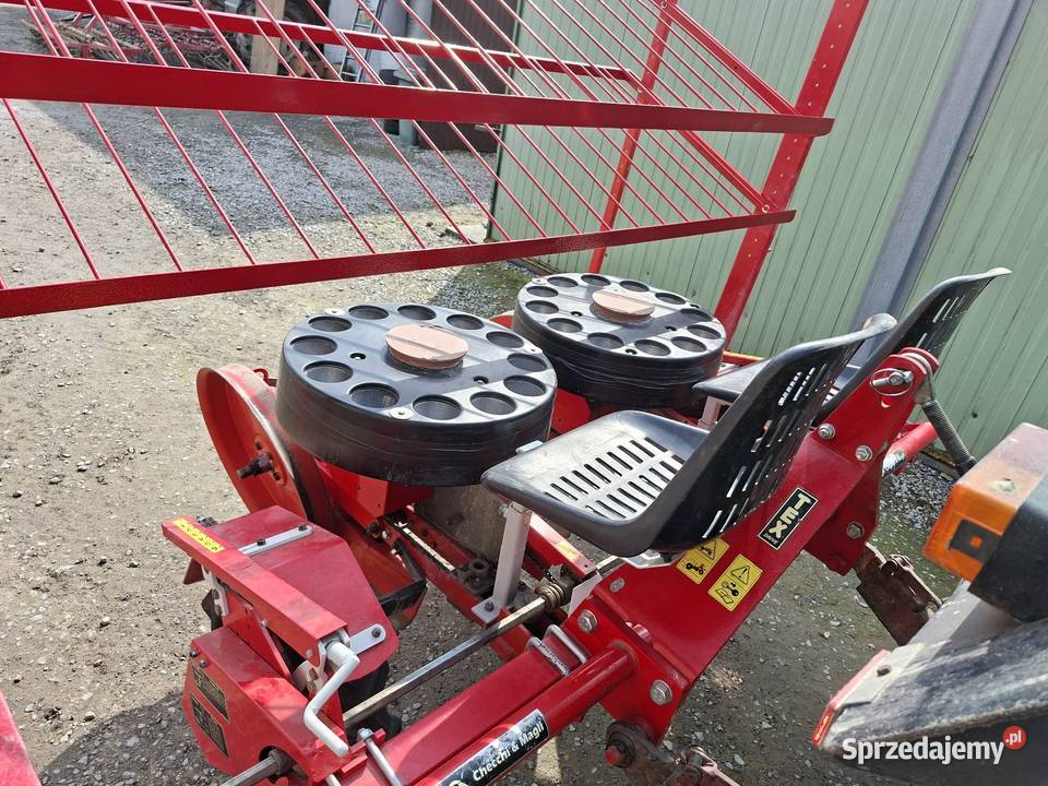 Sadzarka Checchi Magli lubelskie Biłgoraj