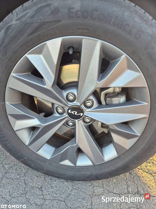 Kia Sportage 16 TGDI MHEV Anniversary 4WD DCT Kłodawa