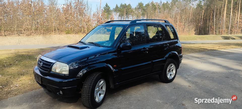 Suzuki grand Vitara 20 HDi zdrowa Lipsko