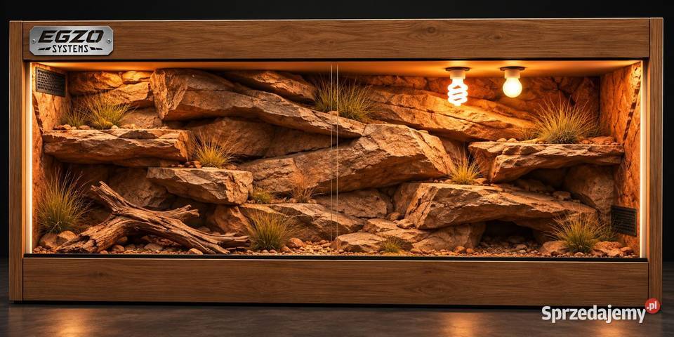 Terrarium hodowlane żółwia greckiego agamy świętokrzyskie Ostrowiec Świętokrzyski