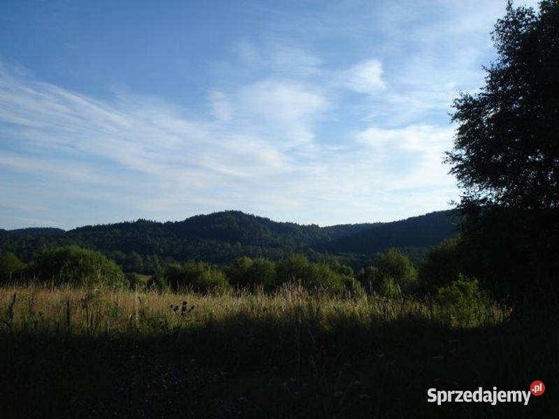 Siedlisko w Bieszczadach 104200m2 Skorodne