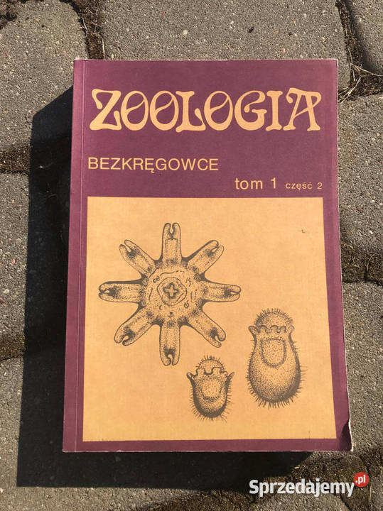 Zoologia Bezkręgowce tom 1 część 2 E Grabda Kielce