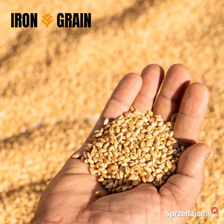 ROZDZIELACZ Skrzynka rozdzielcza silosy do Kostrzyn