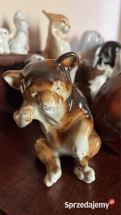 Figurka niedźwiedzia brunatny ClujNapoca pomorskie