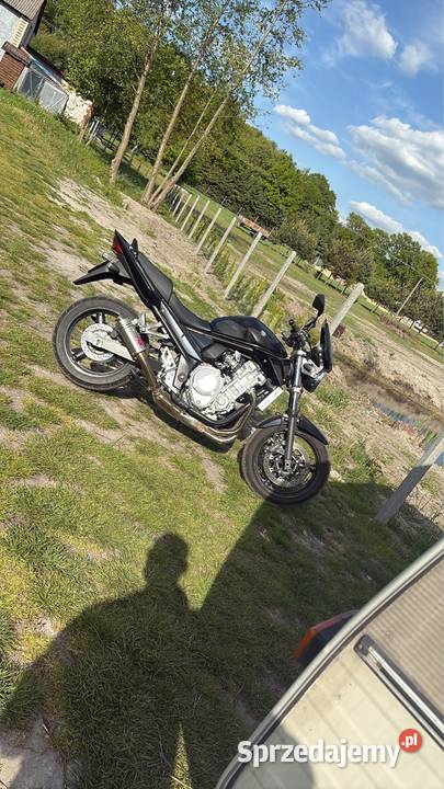 Suzuki GSF 650 Bandit 2009r 30 Rokitno