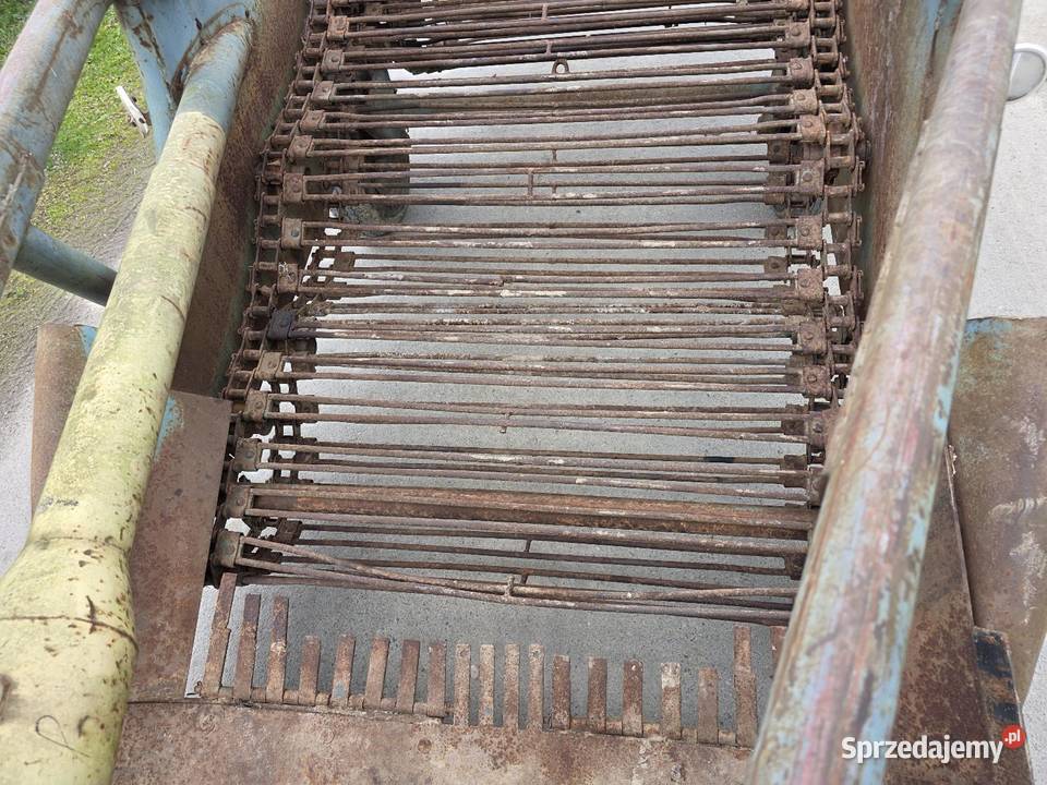 Kopaczka elewatorowa dwurzedowa do ziemniakow Samborzec