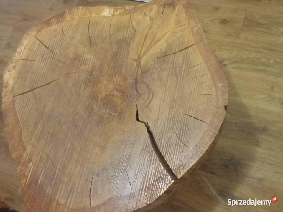 Plastry drewna na stoliki kawowe Wieluń sprzedam