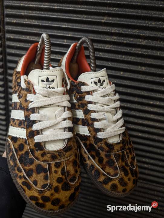Adidas Samba OG Leopard Panterka r 375 235 Stan Pozostałe pomorskie Rzeczenica